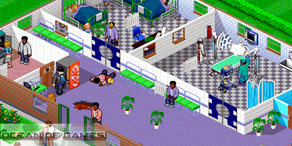 Theme Hospital Features