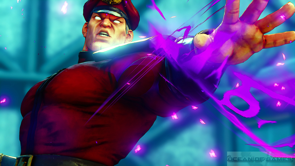 Street Fighter V Features