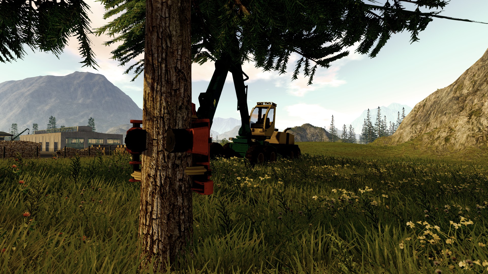 Forestry 2017 The Simulation Setup Free Download