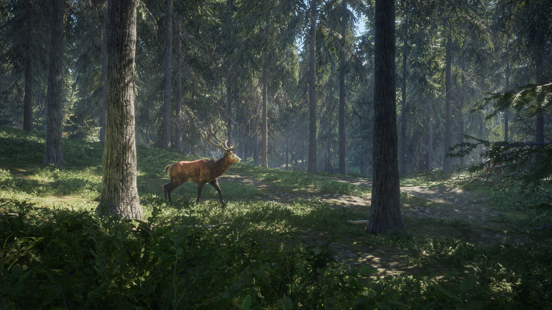theHunter Call of the Wild Features