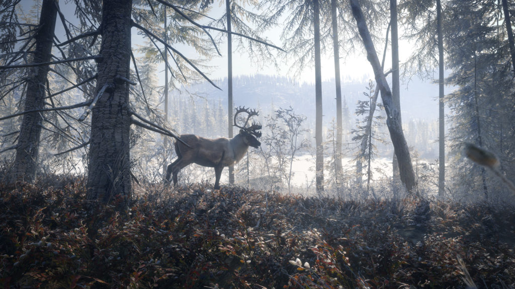 TheHunter Call of the Wild Medved Taiga Free Download