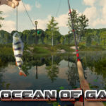 Fishing Adventure PLAZA Free Download