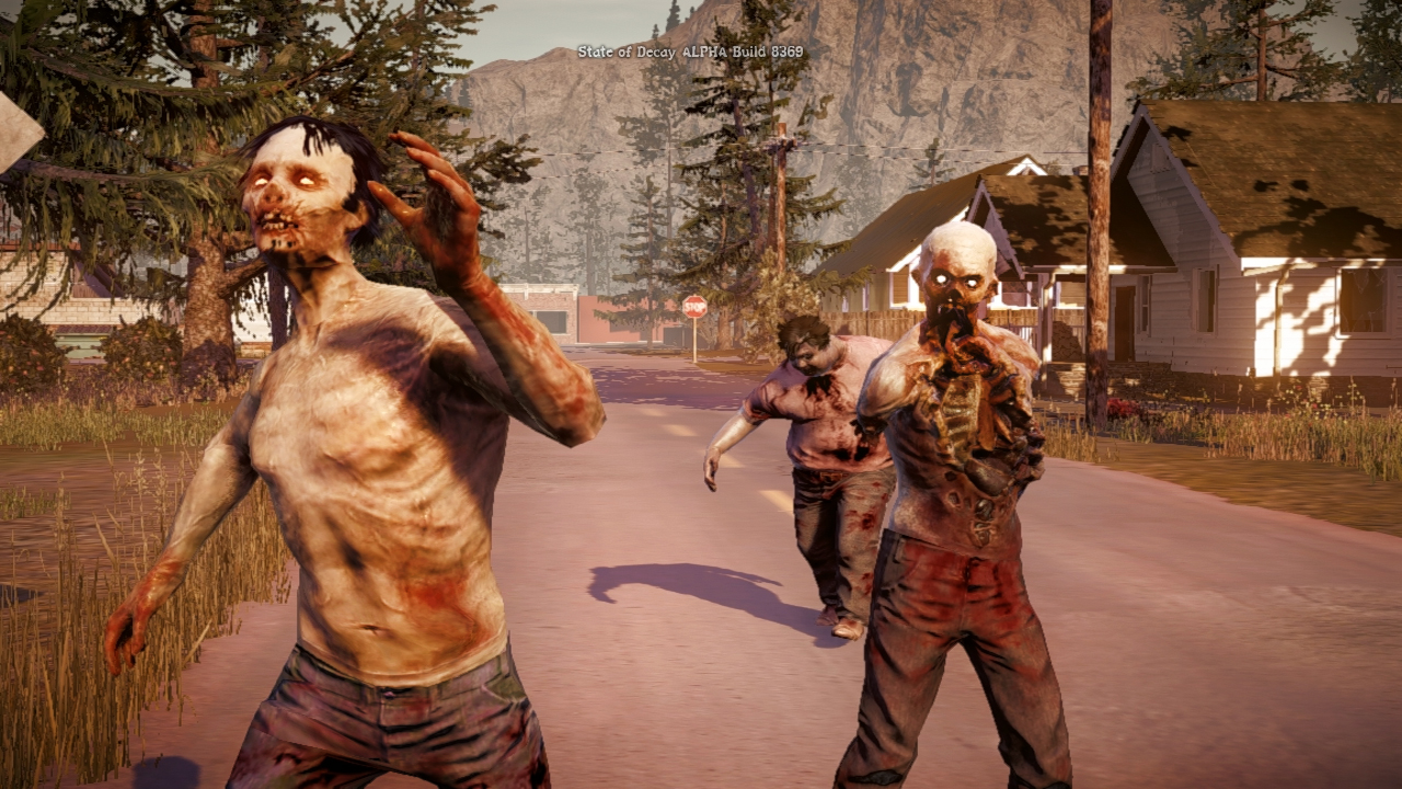 State Of Decay PC Game